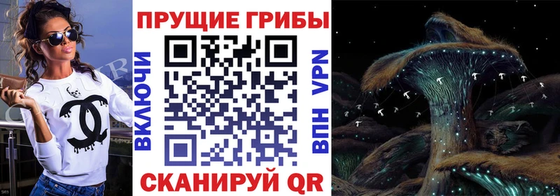 Галлюциногенные грибы Psilocybe  магазин  наркотиков  MEGA как войти  Славск 